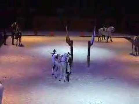 Capriole - Kapriool - Dressage horses