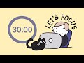Pomodoro Timer 3x30 1 5hr ADHD Let S Get Focused Lofi Train Ambience