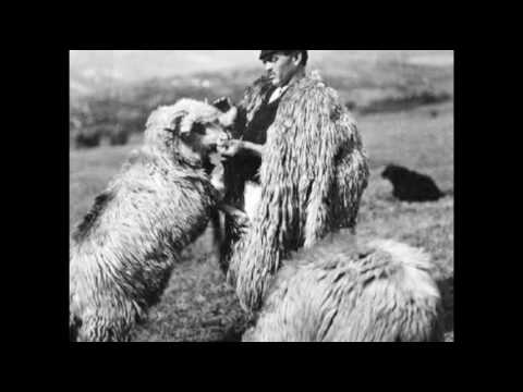 Sârbă ciobănească / Pastoral dance