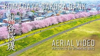 熊谷桜堤　日本さくら名所100選