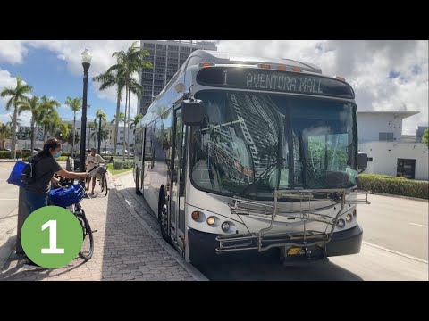 Bus 1 Broward