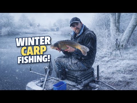 I DIDN’T EXPECT THIS… Winter Carp Fishing!