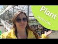 Master Gardner Plant Sale