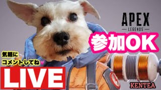【 #APEX 】参加◎！　　vol.13