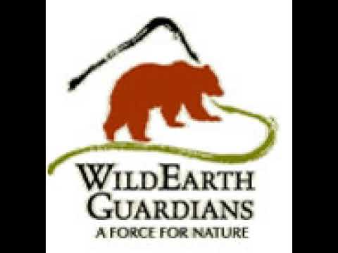 WildEarth Guardians | Wikipedia audio article