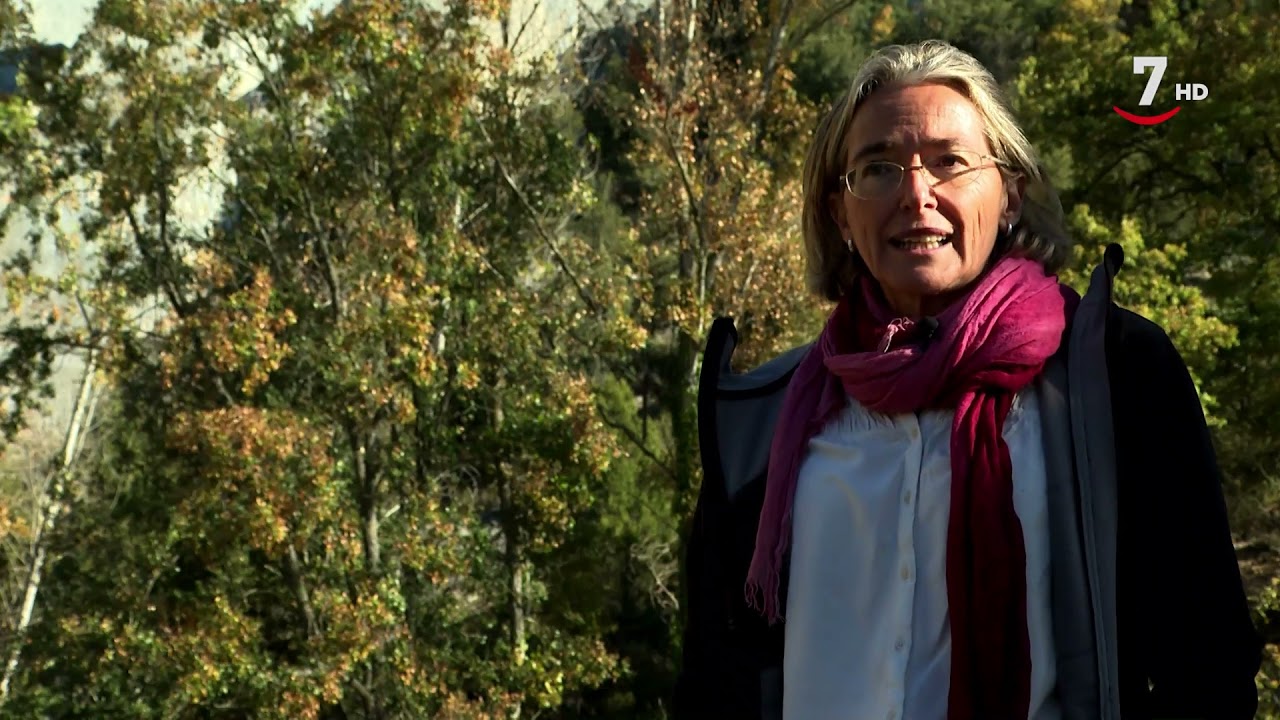 Parques Naturales: Sabinares del Arlanza La Yecla - Castilla y León Televisión