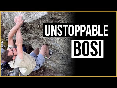 Rapid Repeat of MacLeod Mega Project for Will Bosi