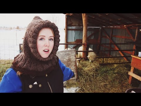 YouTube video about: What to do with used goat bedding?