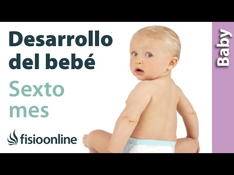 👶🏼Desarrollo del BEBÉ en su SEXTO mes de VIDA🚼