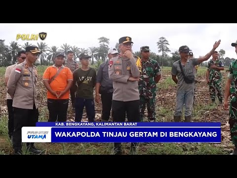 WAKAPOLDA KALBAR TINJAU LAHAN GERAKAN TANAM GERTAM DI BENGKAYANG