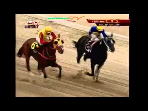 LA RINCONADA 5 CARRERA, DOMINGO 19 DE ABRIL DEL 2015