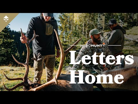 Bowhunting Elk Above Timberline  - Letters Home