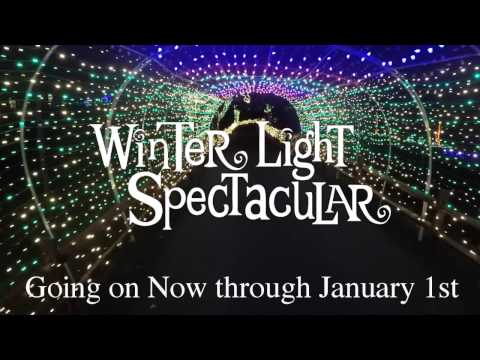 Winter Light Spectacular Fly Through