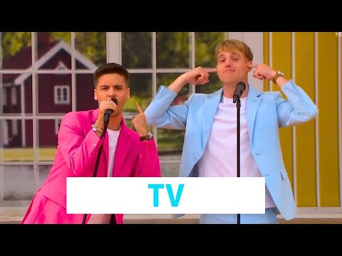 Die Schlagerboys - Ich habe einen kleinen Papagei Immer wieder sonntags 2024