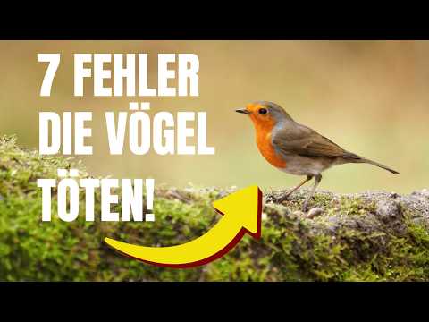 These 7 things cause great distress to wild birds – avoid them now!