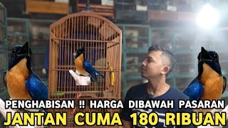 Download lagu HARGA PENGHABISAN || LAYAK DIJUAL MAHAL TAPI CUMA 180 RIBUAN DI PASAR BURUNG PRAMUKA  mp3