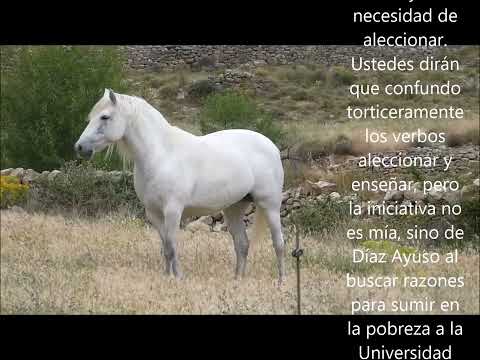 OPAS HOSTILES Y UNIVERSIDAD PÚBLICA 1