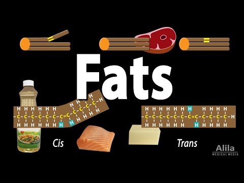 , title : 'Unsaturated vs Saturated vs Trans Fats, Animation'