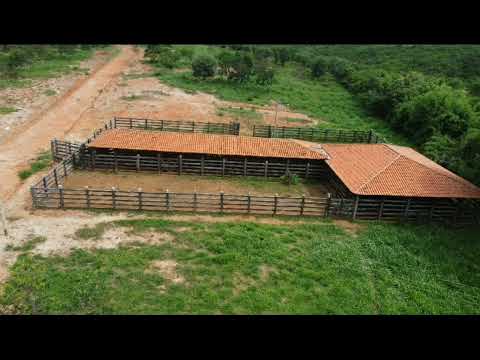 FAZENDA A VENDA A 8 KM DE SALINAS MG.  Valor 1.500.000 milhão (38)998289680