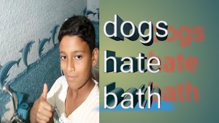 # Giving a bath to my dog ,my dog is scared of water, see my dog