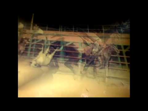 Teresa molino - cheo hernandez Prisco