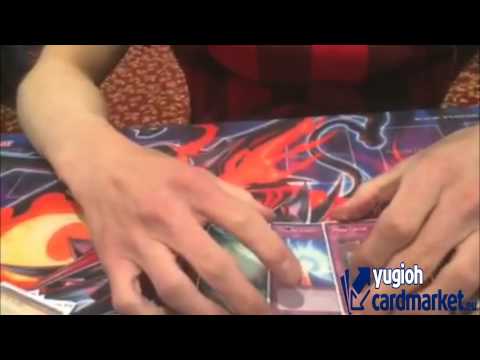 Top 4 Irish Nationals 2015 Shy Bill - Stellarknight