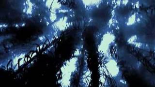 the bloated pope - melvins / lustmord