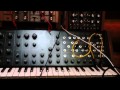 Rare mostly Analog synth collection- ampron korg ...