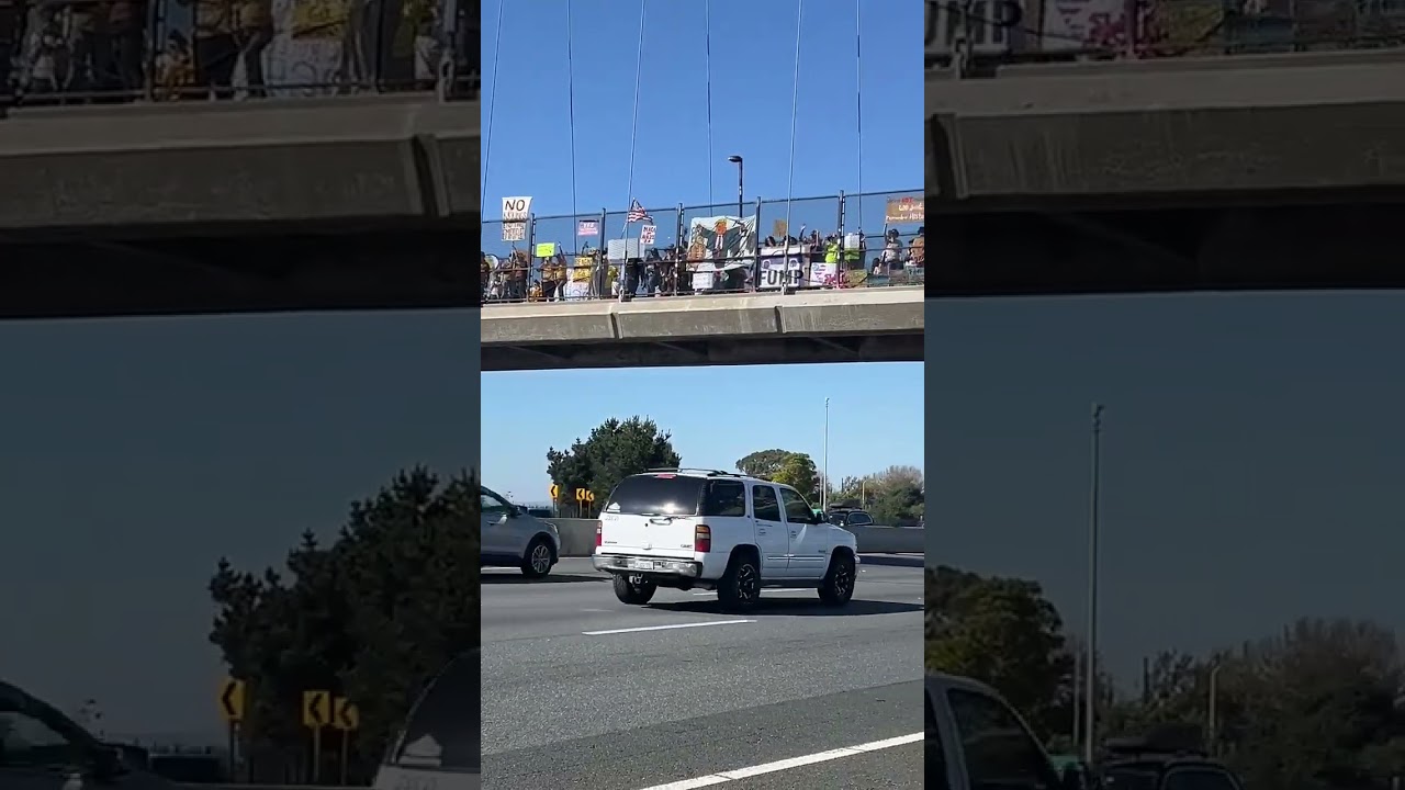 Protest and honks in support, University Avenue overpass