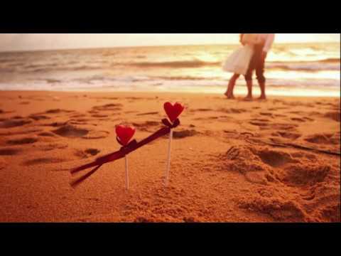 Agnė Petravičienė - Sudegusi meilė