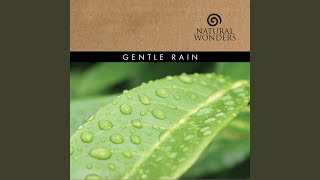Gentle Rain