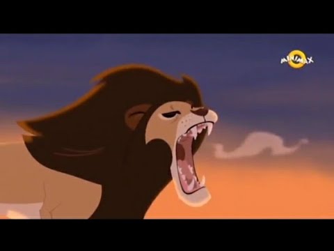 Braca Kret - Dan Loše Frizure