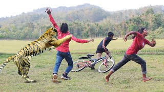 Tiger Attack Nearby Jungle  |  Animal  Attack Boys in African Forest Fun Made Movie by Wild Fighter