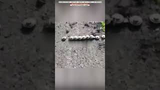 Download lagu UNIQUE!! How Russia Clears Mines From Roads mp3