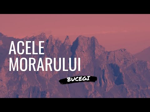 Acele Morarului Bucegi POV (integral) [4K VIDEO]