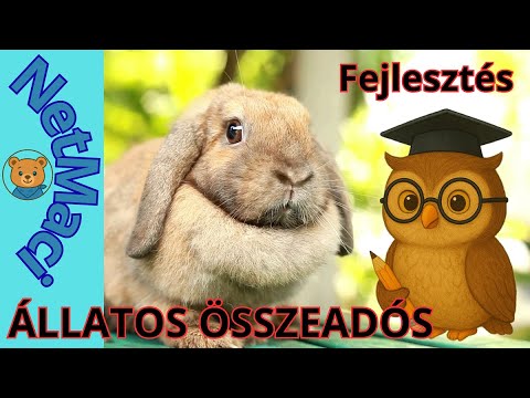 Számolás, összeadás. Fejlesztő dal.