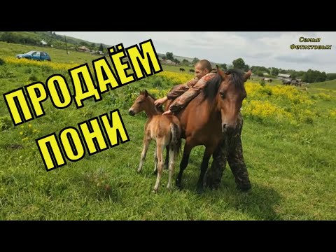 Продаём ПОНИ. Папа волшебник. Ремонт трактора/ Семья Фетистовых