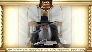 הרב שי פרי - רק מילה