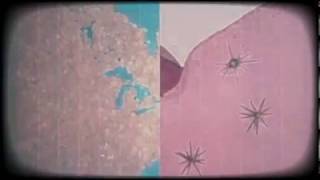 Boards of Canada - Reach for the Dead