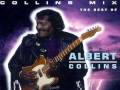 IF TROUBLE WAS MONEY - Albert Collins