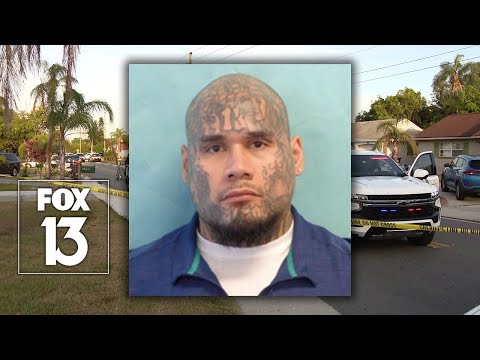 Moog Road murder: Suspect enters not guilty plea in 'gruesome' killing of Uber Eats driver