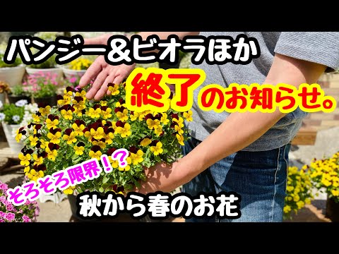 ビオアラ - 定義