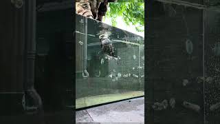 How do airsoft guns shoot UNDERWATER?