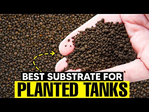 Which Is The Best Substrate For Planted Tanks? (Top 7)