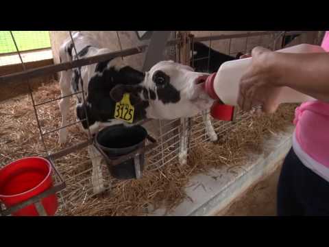 South Mountain Creamery