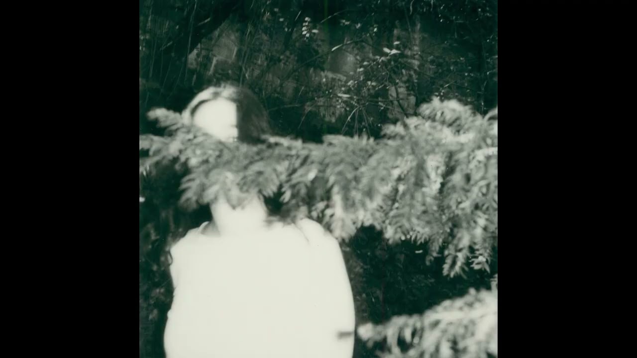 Devin Shaffer - Anyone