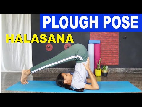 Easy Way to  Halasana | Yoga Pose Halasana | Plough Pose | How To Do Halasana