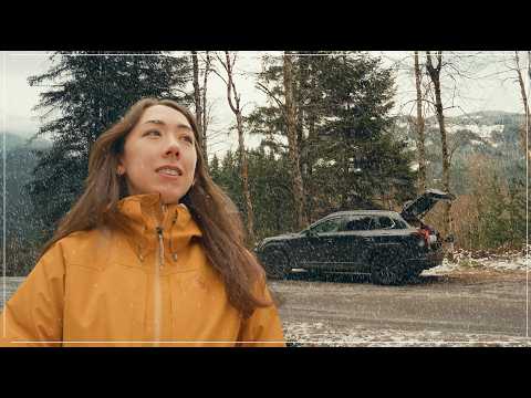 Solo Snowstorm Camping & Cooking in the Mountains