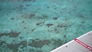 preview picture of video 'Maldivian Air Taxi landing at Summer Island, Maldives'