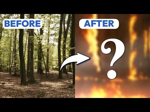 VFX - Nature Art - Forest Fire With Sound - Incredimate
